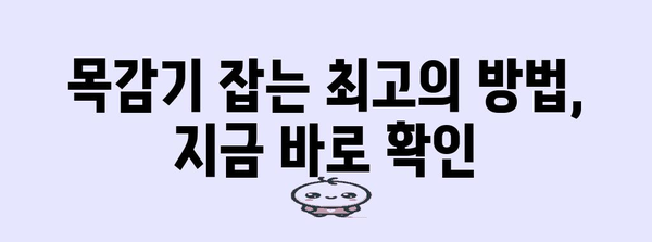 감기 빨리 낫는 방법 | 몸살과 목감기 조복 비결
