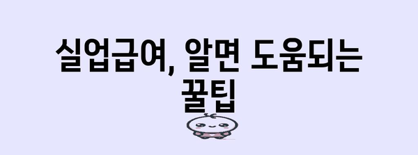 고용보험 실업급여 필수 가이드 | 신청부터 취업 지원까지