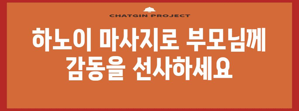 하노이 한적한 마사지로 효도 관광객 감동 체험