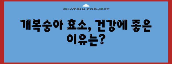 개복숭아 효소 종합 가이드 | 이점, 부작용, 칼로리