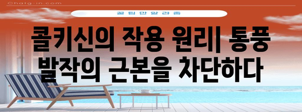 콜키신 이해하기 | 만성 통풍 잠재력 해제