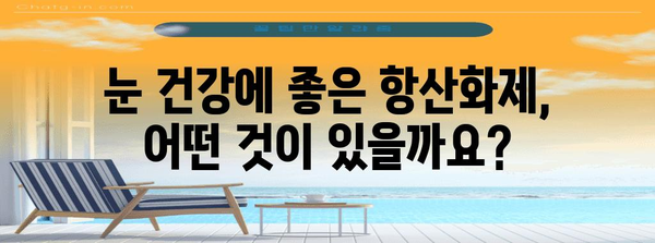 강아지 눈 건강 지키는 필수 항산화제 가이드