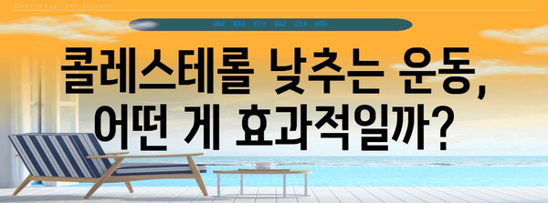 콜레스테롤 낮추는 효과적 습관 | 식단 관리부터 운동까지