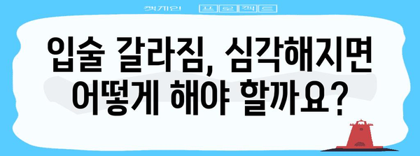입술 갈라짐 원인과 치료법
