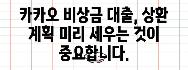 비상금 대출에서 주의 사항 | 카카오의 조건 이해하기