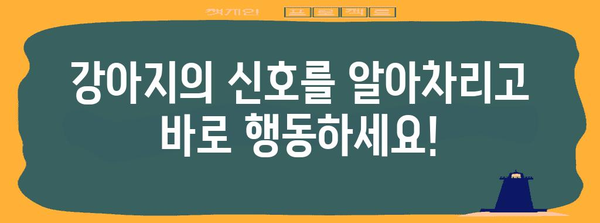 강아지 배변훈련 성공법 | 실수 줄이는 7가지 팁