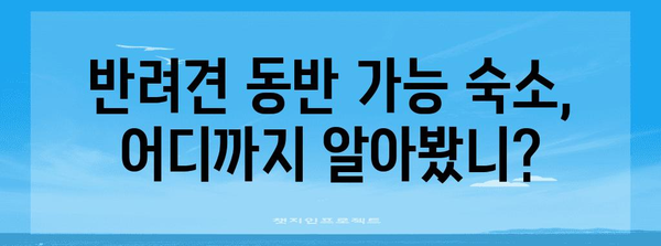 반려견과 행복한 시간! 함께 갈 수 있는 편안한 10가지 숙소