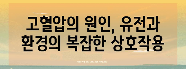 고혈압의 실체 파헤치기 | 원인부터 관리까지