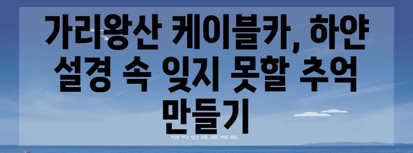 선릉의 자부심 | 가리왕산 케이블카를 타고 숨 막히는 설경을 감상하기