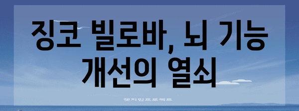 징코 빌로바의 뇌 건강 향상 효과