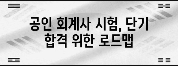 공인 회계사 자격증 취득 가속화 전략