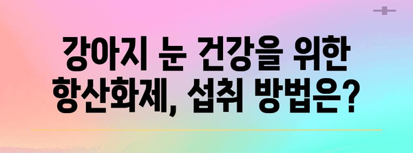 강아지 눈 건강 지키는 필수 항산화제 가이드