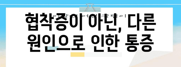 심장 울렁울렁이 허리 통증 | 협착증 아닌 진짜 원인