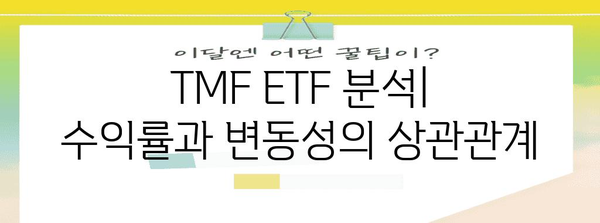 레버리지 채권 투자의 함정 | TMF ETF 분석