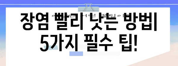 장염 빠르게 낫는 법 | 원인, 증상, 회복 팁