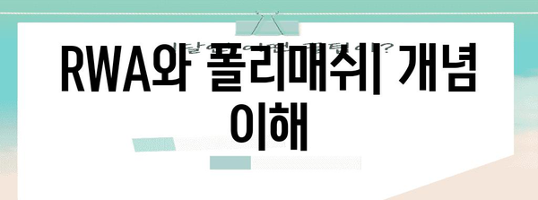 RWA와 폴리매쉬 | 종합 가이드와 종류 설명