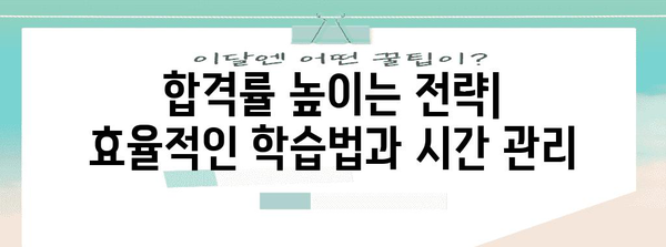 공인 회계사 자격증 취득 가속화 전략