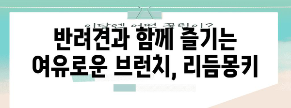 애견용 샤워실까지! 두정동의 애견 동반 브런치 카페 리듬몽키