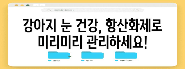 강아지 눈 건강 지키는 필수 항산화제 가이드