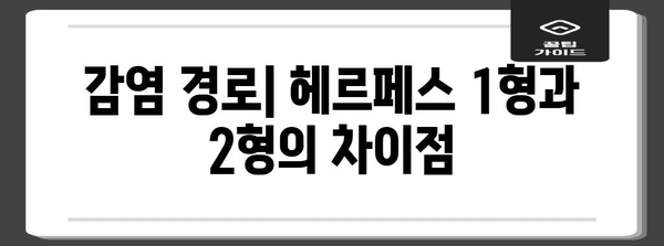 헤르페스 1형과 2형 차이점 | 원인, 증상, 치료법