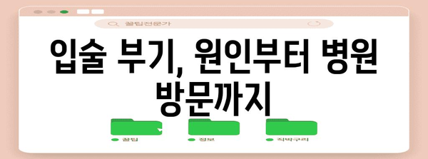 입술 부기 원인 파악과 병원 진료 기준 확립
