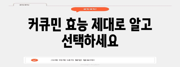 커큐민 선택 완벽 가이드 | 2024년 최고의 추천 제품