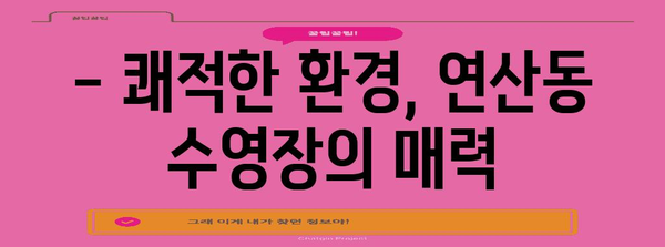 부산에서 즐기는 수영의 천국! 연산동 수영장 가격 및 시설 소개