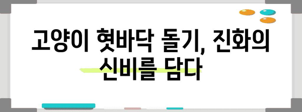 고양이 혓바닥 돌기의 숨겨진 의미