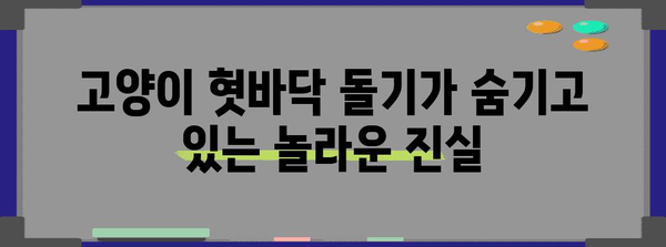 고양이 혓바닥 돌기의 숨겨진 의미