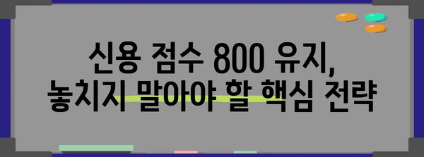 신용 점수 800 유지하기 | 재테크 핵심