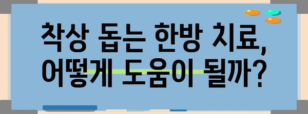 착상 확률 높이기 | 시험관 아기 준비와 한의학의 역할