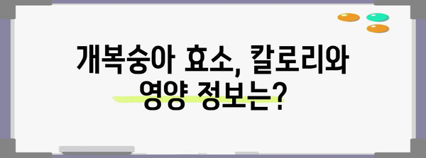 개복숭아 효소 종합 가이드 | 이점, 부작용, 칼로리