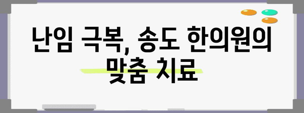 시험관 시술을 위한 한의학 치료 | 송도 지침