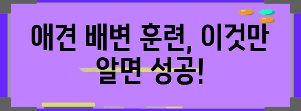 애견 배변 훈련 성공 비결 | 문제 해결과 훈련법