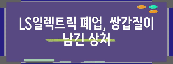 쌍갑질 피해 | LS일렉트릭 폐업 사례