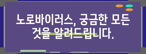 노로바이러스 | 증상, 치료법, 예방책 알아두기