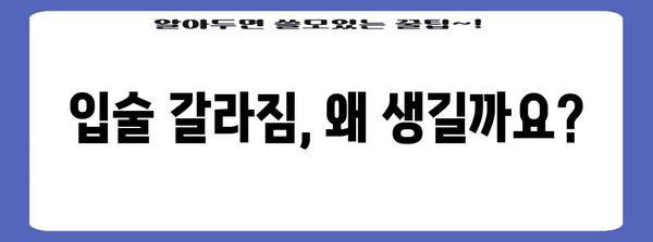 입술 갈라짐 원인과 치료법