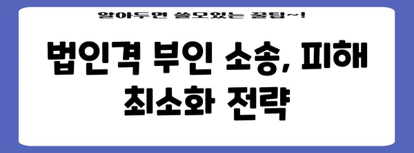 법인 폐업 | 법인격 부인 소송 피해 최소화