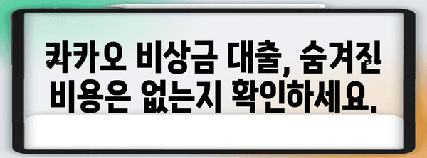 비상금 대출에서 주의 사항 | 카카오의 조건 이해하기