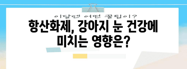 강아지 눈 건강 지키는 필수 항산화제 가이드