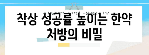 시험관 착상 성공률 끌어올리는 한약 활용법