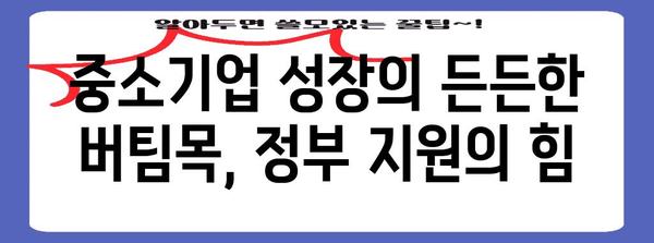 성공을 보장하는 정부 중소기업 자금 지원 사례