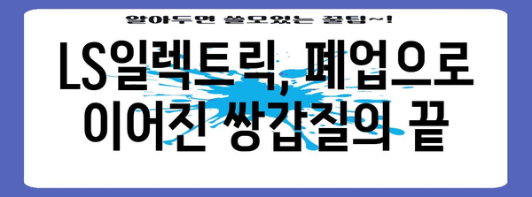 쌍갑질 피해 | LS일렉트릭 폐업 사례