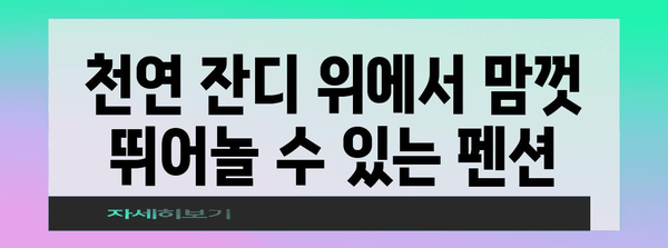 애견과 행복한 시간을 위한 독립 마당과 천연 잔디 애견펜션