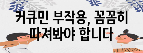 커큐민 선택 완벽 가이드 | 2024년 최고의 추천 제품