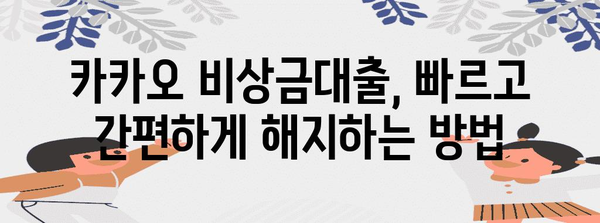 카카오 비상금대출 | 안내부터 해제까지