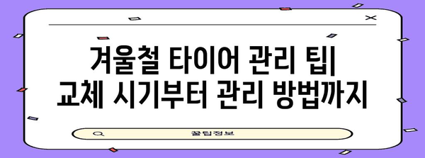 겨울철 눈길 운전 대비 | 타이어 관리와 공기압 유지 방법