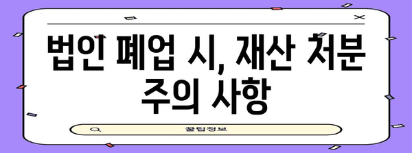 법인 폐업 | 법인격 부인 소송 피해 최소화