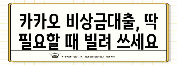 카카오 비상금대출 | 안내부터 해제까지