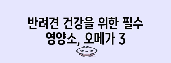 필수 오메가 3 플러스 석유물개 오일 | 반려견의 최상의 선택